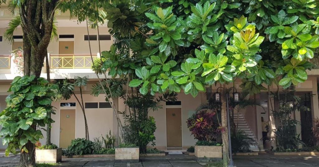 Hotel Sulawesi Jembel Екстериор снимка