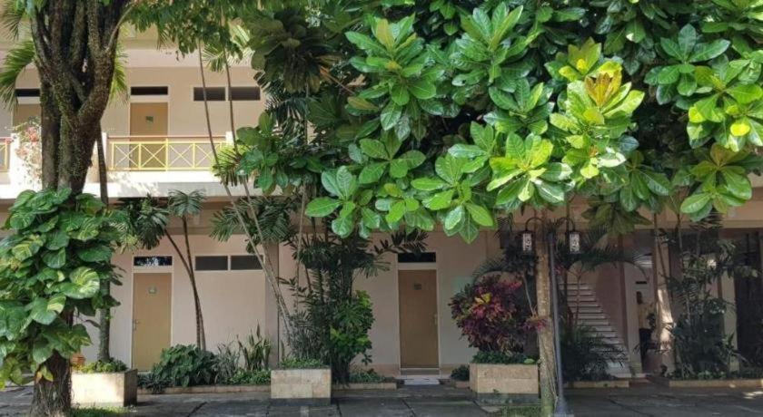 Hotel Sulawesi Jembel Екстериор снимка